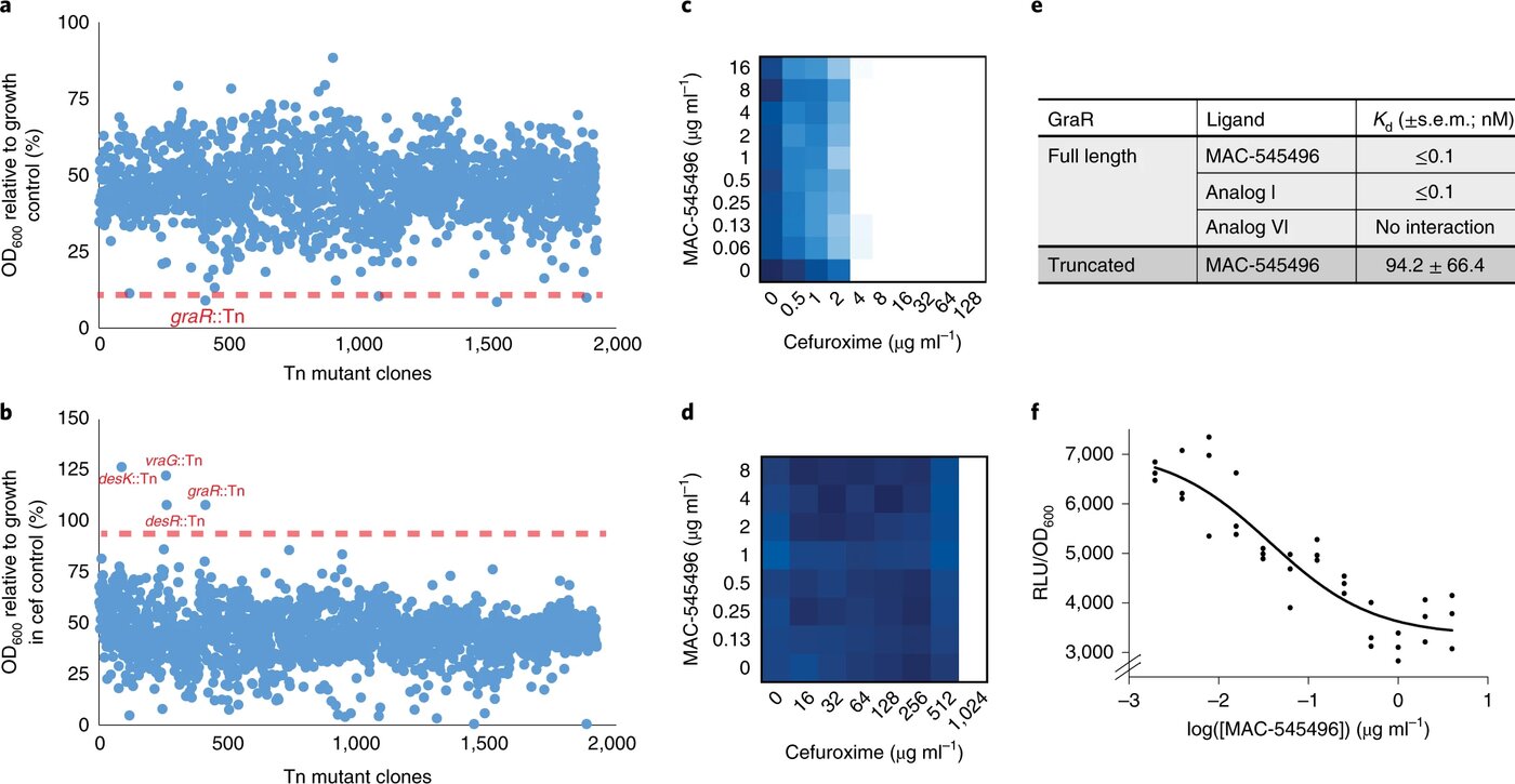 Figure 2 from El-Halfawy et al. 2020: transposon mutant screen and binding assays identifying GraR as the target of antivirulence compound MAC-545496.